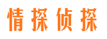 达坂城市婚外情调查